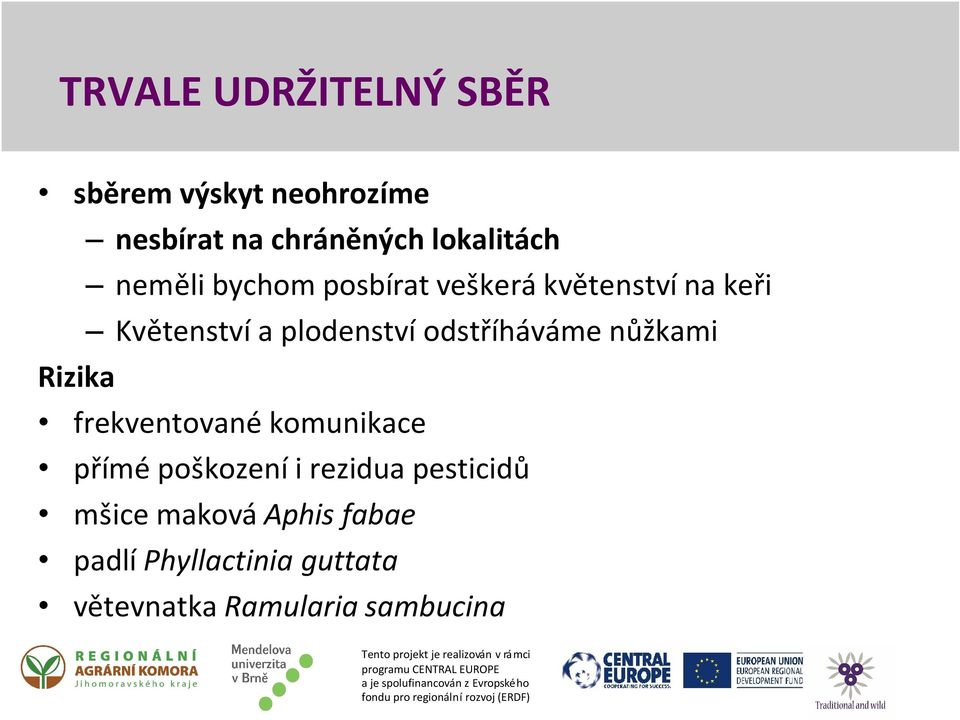 odstříháváme nůžkami Rizika frekventované komunikace přímé poškození i rezidua