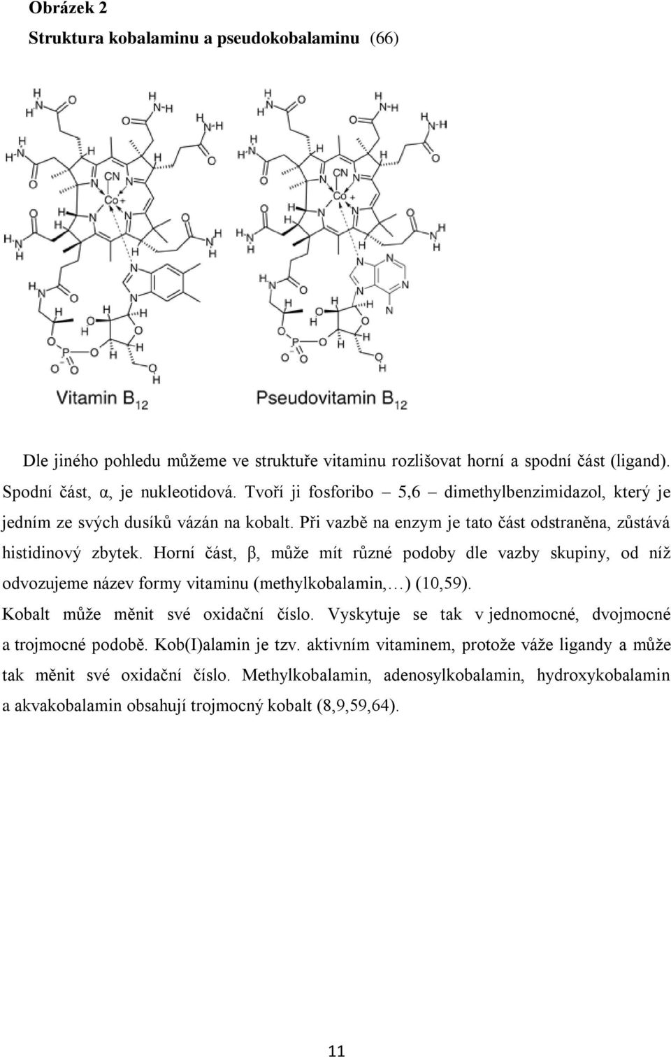 Horní část, β, můţe mít různé podoby dle vazby skupiny, od níţ odvozujeme název formy vitaminu (methylkobalamin, ) (10,59). Kobalt můţe měnit své oxidační číslo.