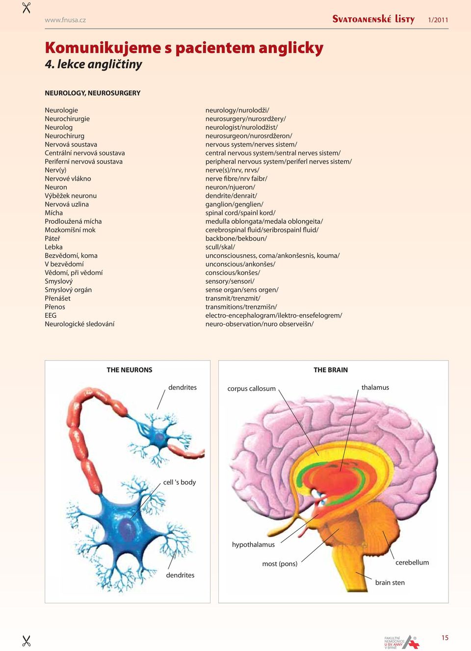 neuronu Nervová uzlina Mícha Prodloužená mícha Mozkomíšní mok Páteř Lebka Bezvědomí, koma V bezvědomí Vědomí, při vědomí Smyslový Smyslový orgán Přenášet Přenos EEG Neurologické sledování