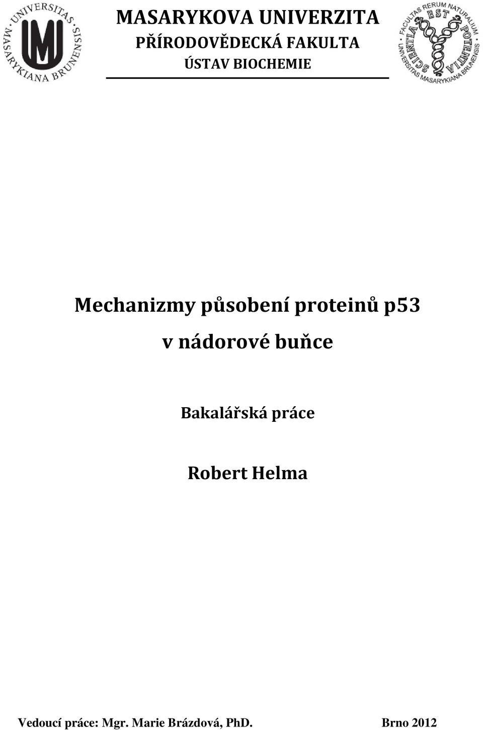 p53 v nádorové buňce Bakalářská práce Robert