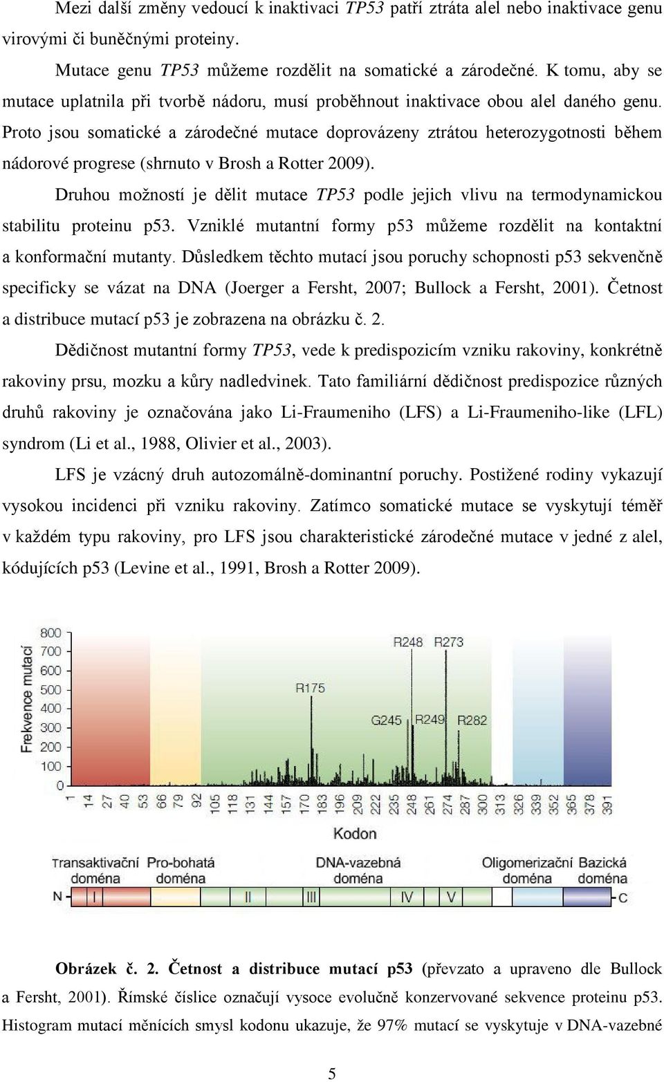 Proto jsou somatické a zárodečné mutace doprovázeny ztrátou heterozygotnosti během nádorové progrese (shrnuto v Brosh a Rotter 2009).