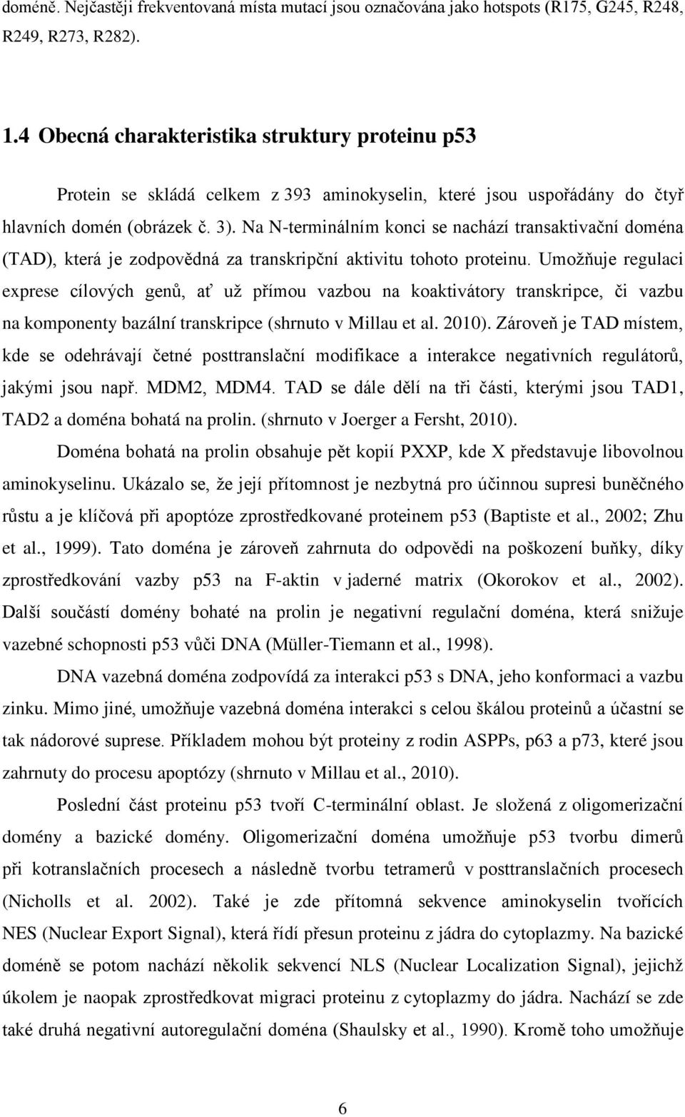 Na N-terminálním konci se nachází transaktivační doména (TAD), která je zodpovědná za transkripční aktivitu tohoto proteinu.