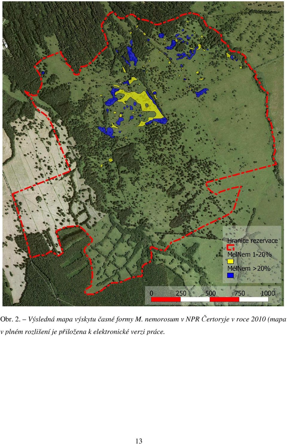 nemorosum v NPR Čertoryje v roce 2010