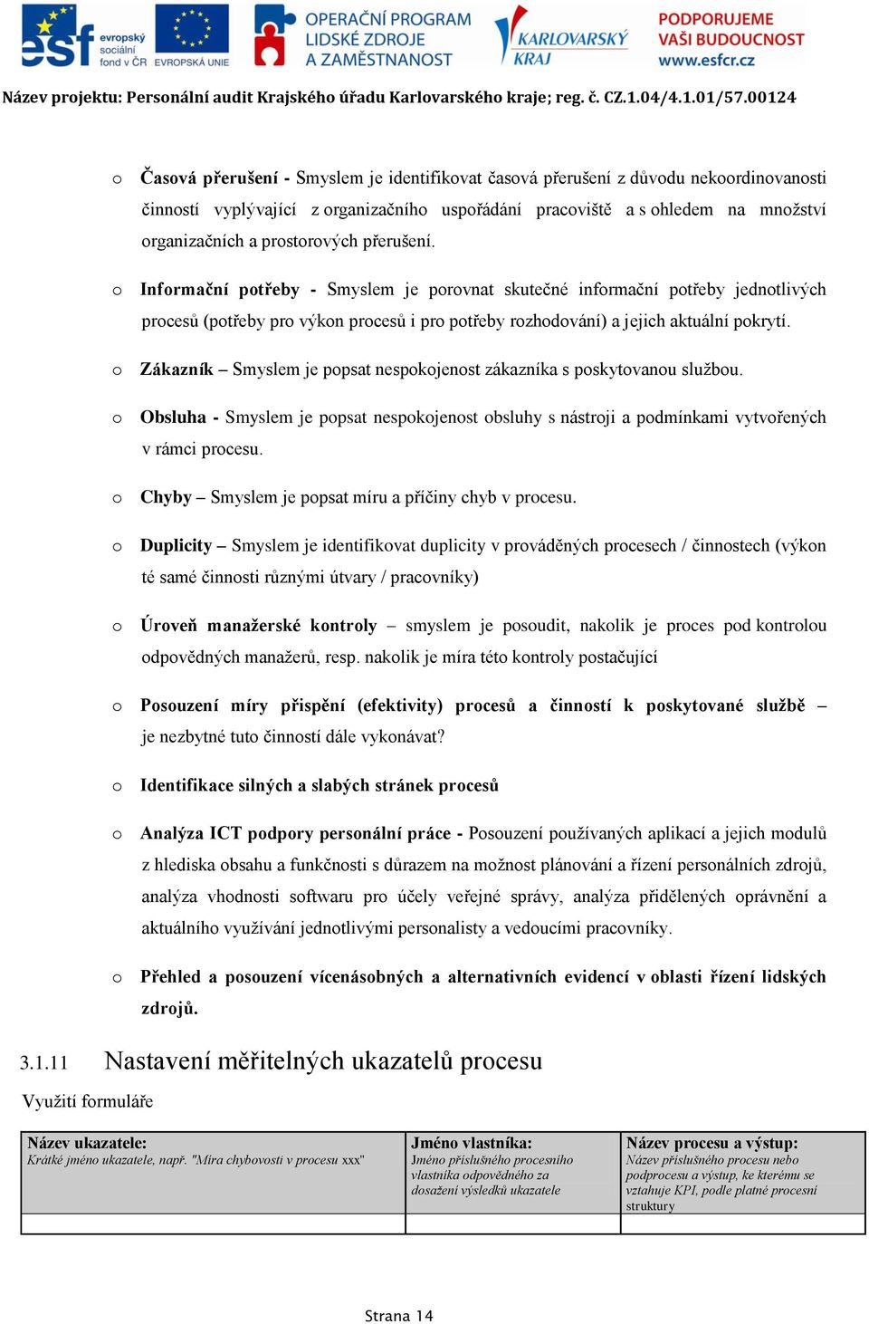 o Zákazník Smyslem je popsat nespokojenost zákazníka s poskytovanou sluţbou. o Obsluha - Smyslem je popsat nespokojenost obsluhy s nástroji a podmínkami vytvořených v rámci procesu.