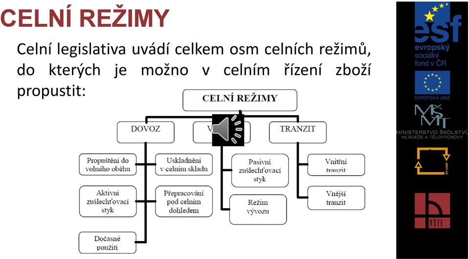 celních režimů, do kterých