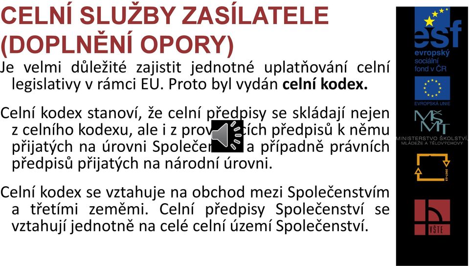 Celní kodex stanoví, že celní předpisy se skládají nejen z celního kodexu, ale i z prováděcích předpisů k němu přijatých na