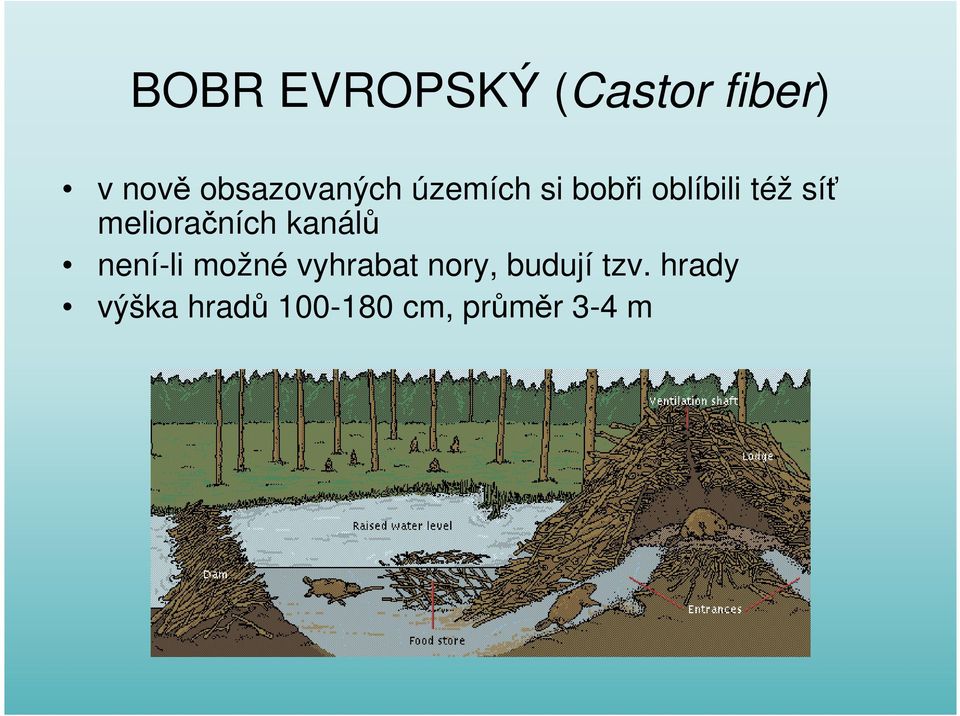 melioračních kanálů není-li možné vyhrabat