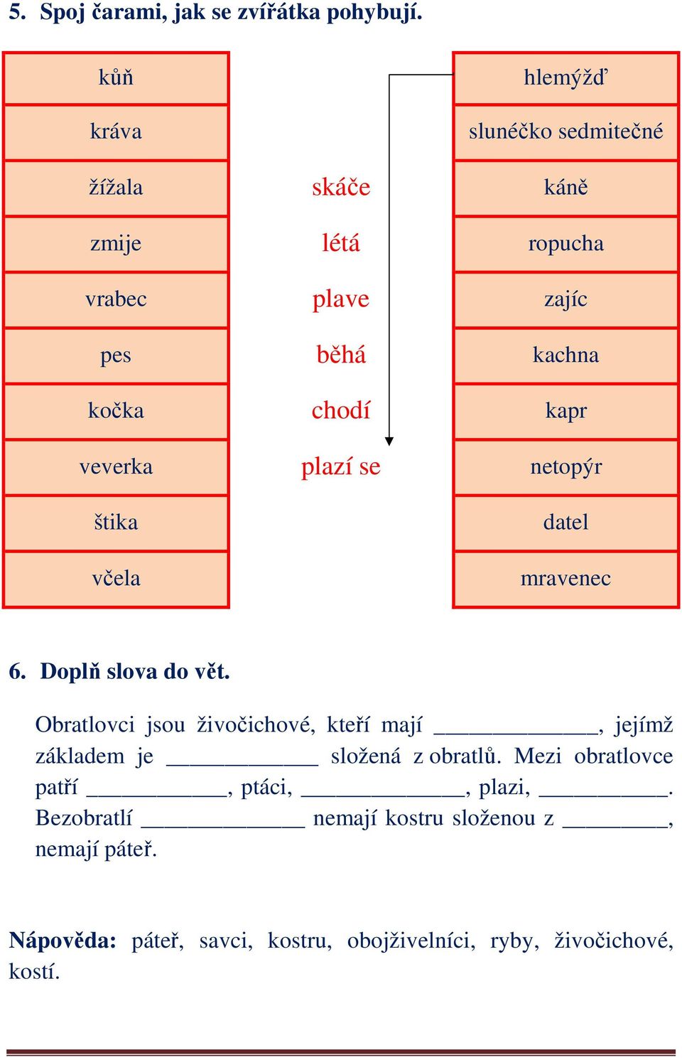 kapr veverka plazí se netopýr štika včela datel mravenec 6. Doplň slova do vět.