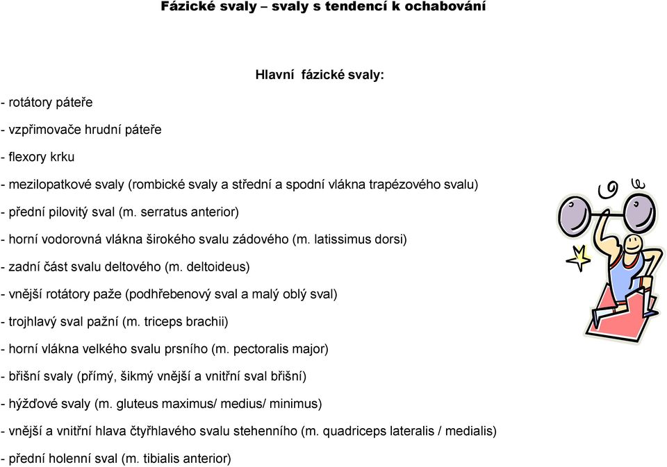 deltoideus) - vnější rotátory paže (podhřebenový sval a malý oblý sval) - trojhlavý sval pažní (m. triceps brachii) - horní vlákna velkého svalu prsního (m.