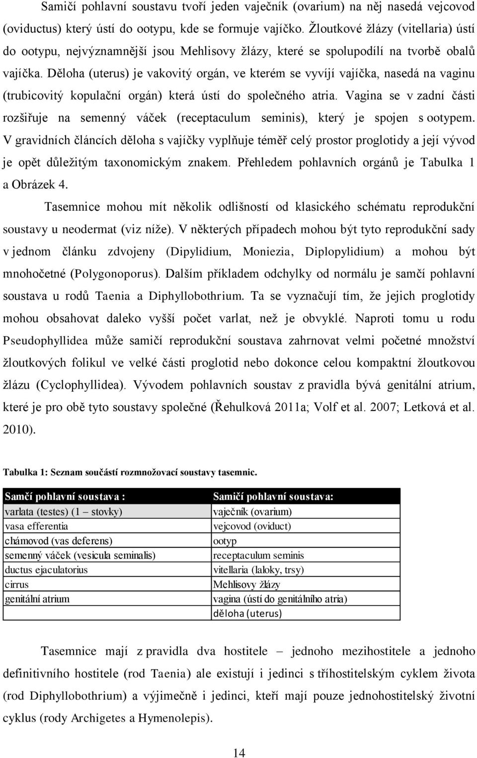 Děloha (uterus) je vakovitý orgán, ve kterém se vyvíjí vajíčka, nasedá na vaginu (trubicovitý kopulační orgán) která ústí do společného atria.