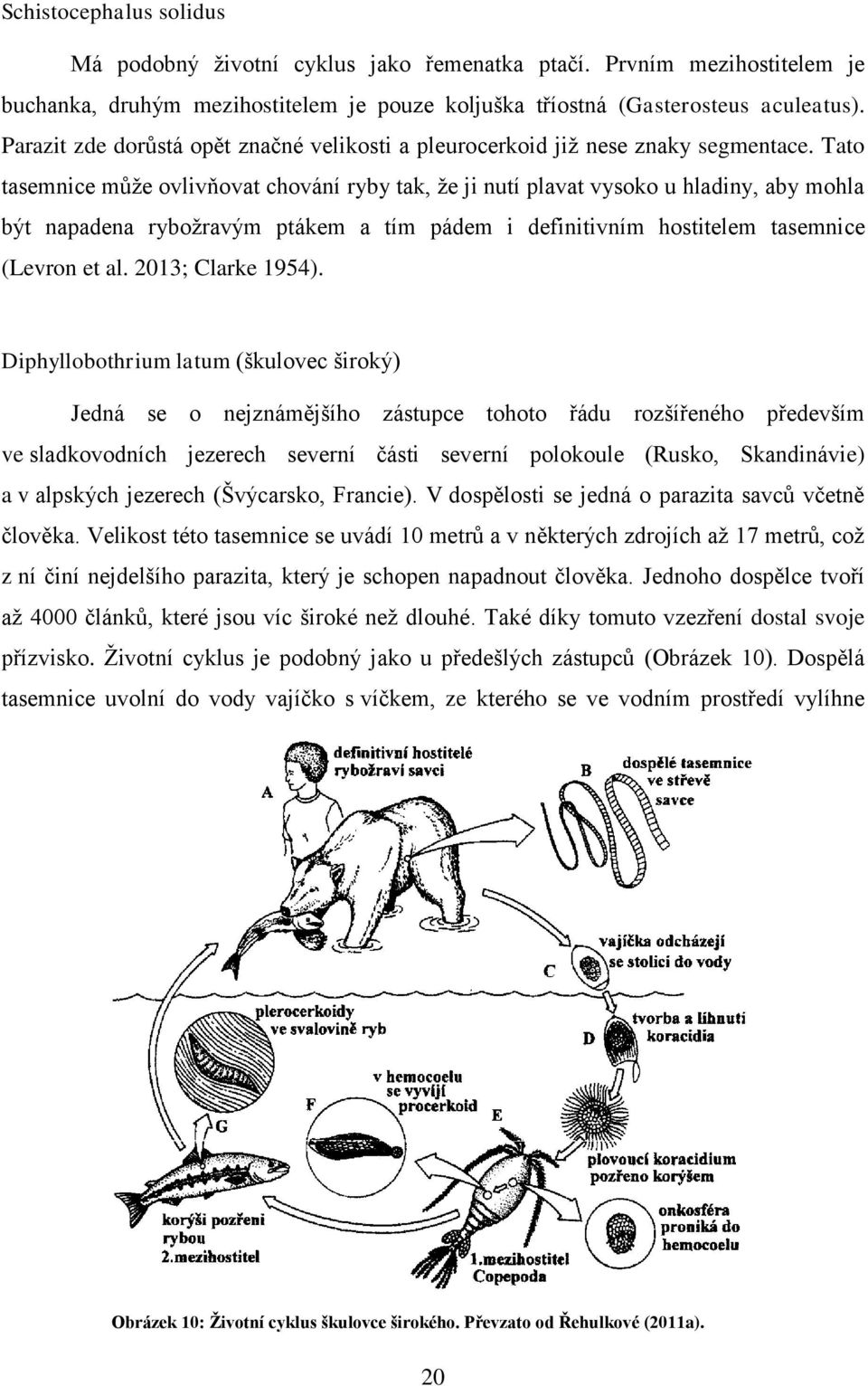 Tato tasemnice může ovlivňovat chování ryby tak, že ji nutí plavat vysoko u hladiny, aby mohla být napadena rybožravým ptákem a tím pádem i definitivním hostitelem tasemnice (Levron et al.