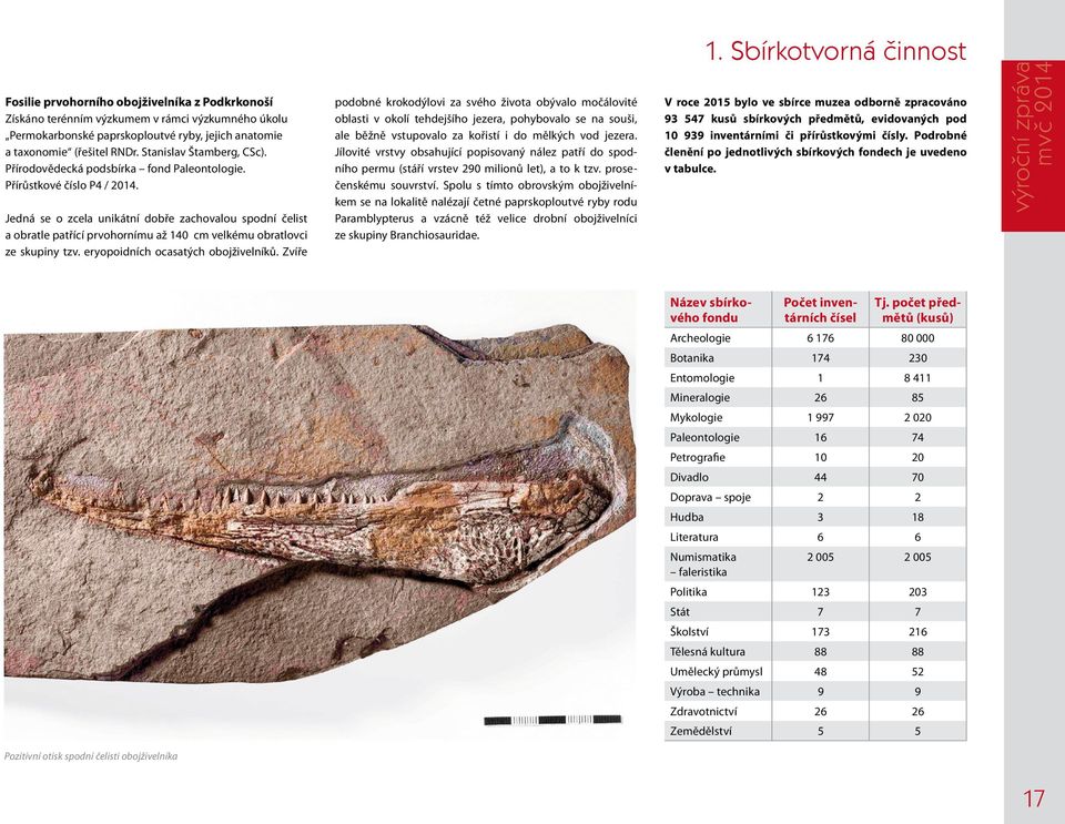 Jedná se o zcela unikátní dobře zachovalou spodní čelist a obratle patřící prvohornímu až 140 cm velkému obratlovci ze skupiny tzv. eryopoidních ocasatých obojživelníků.