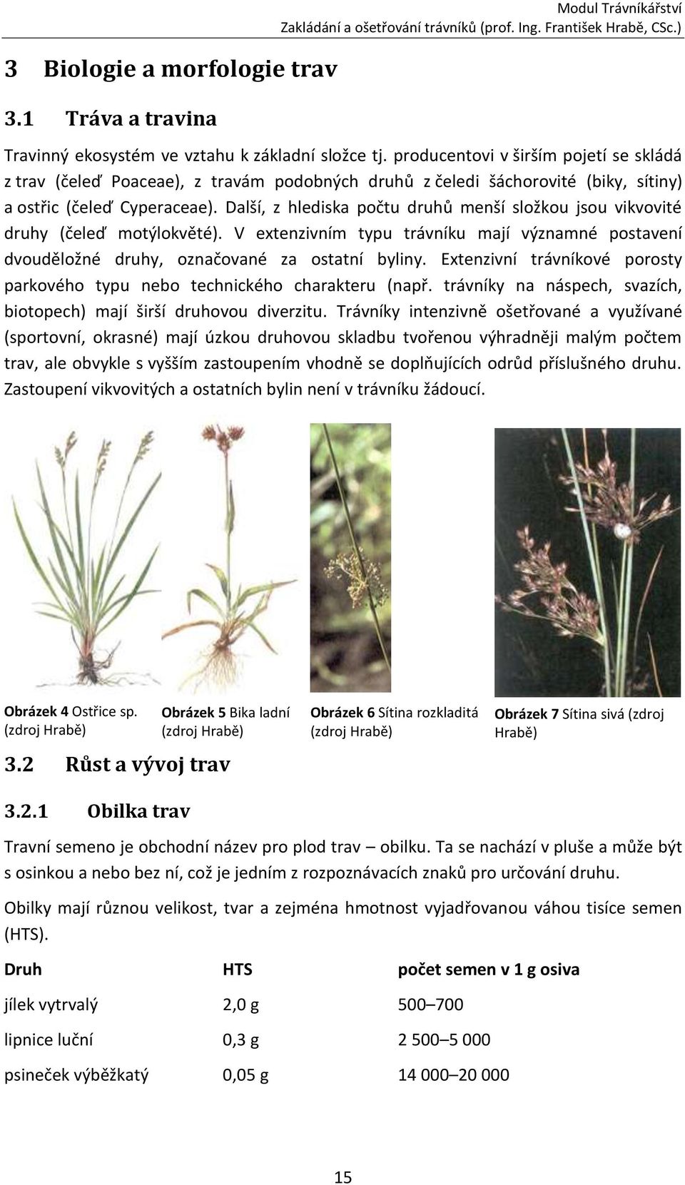 Další, z hlediska počtu druhů menší složkou jsou vikvovité druhy (čeleď motýlokvěté). V extenzivním typu trávníku mají významné postavení dvouděložné druhy, označované za ostatní byliny.