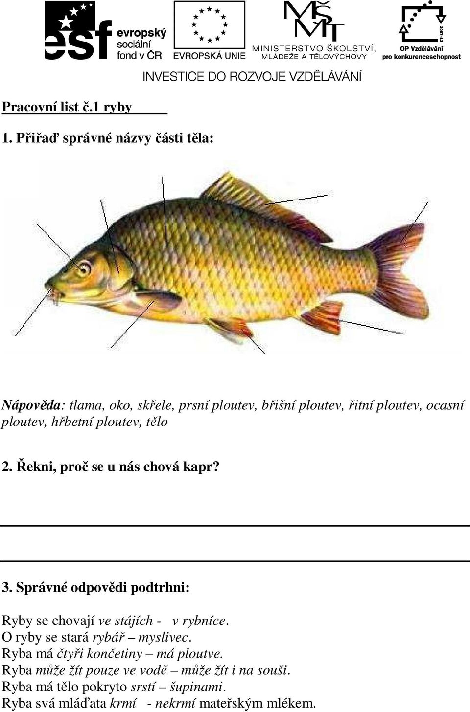 ploutev, hřbetní ploutev, tělo 2. Řekni, proč se u nás chová kapr? 3.