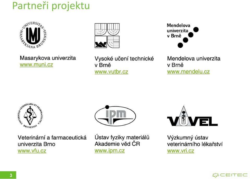 projektu