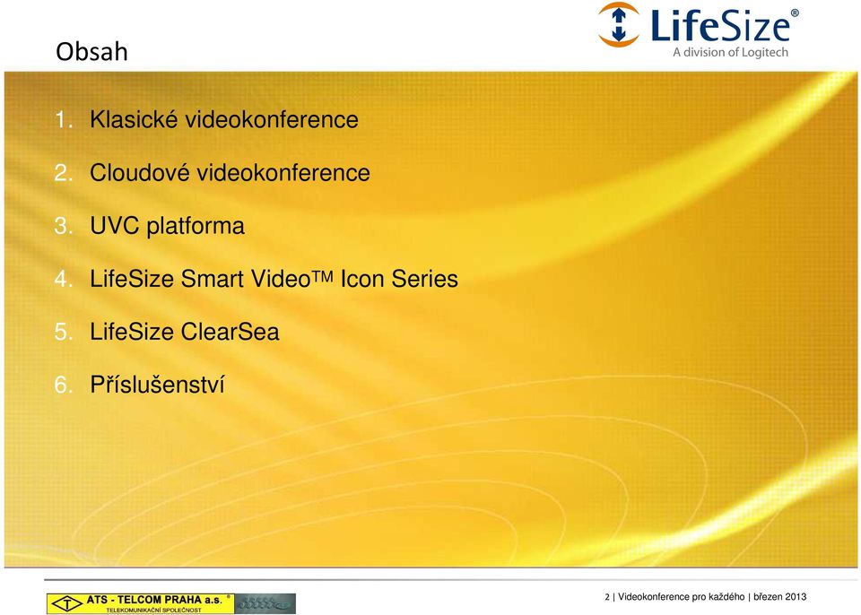 LifeSize Smart Video TM Icon Series 5.