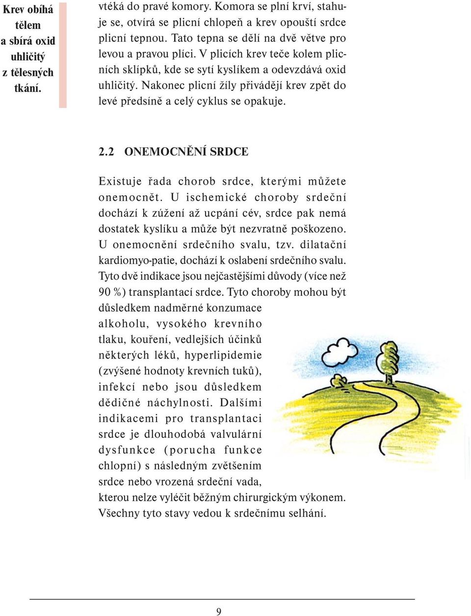 Nakonec plicní žíly přivádějí krev zpět do levé předsíně a celý cyklus se opakuje. 2.2 ONEMOCNĚNÍ SRDCE Existuje řada chorob srdce, kterými můžete onemocnět.