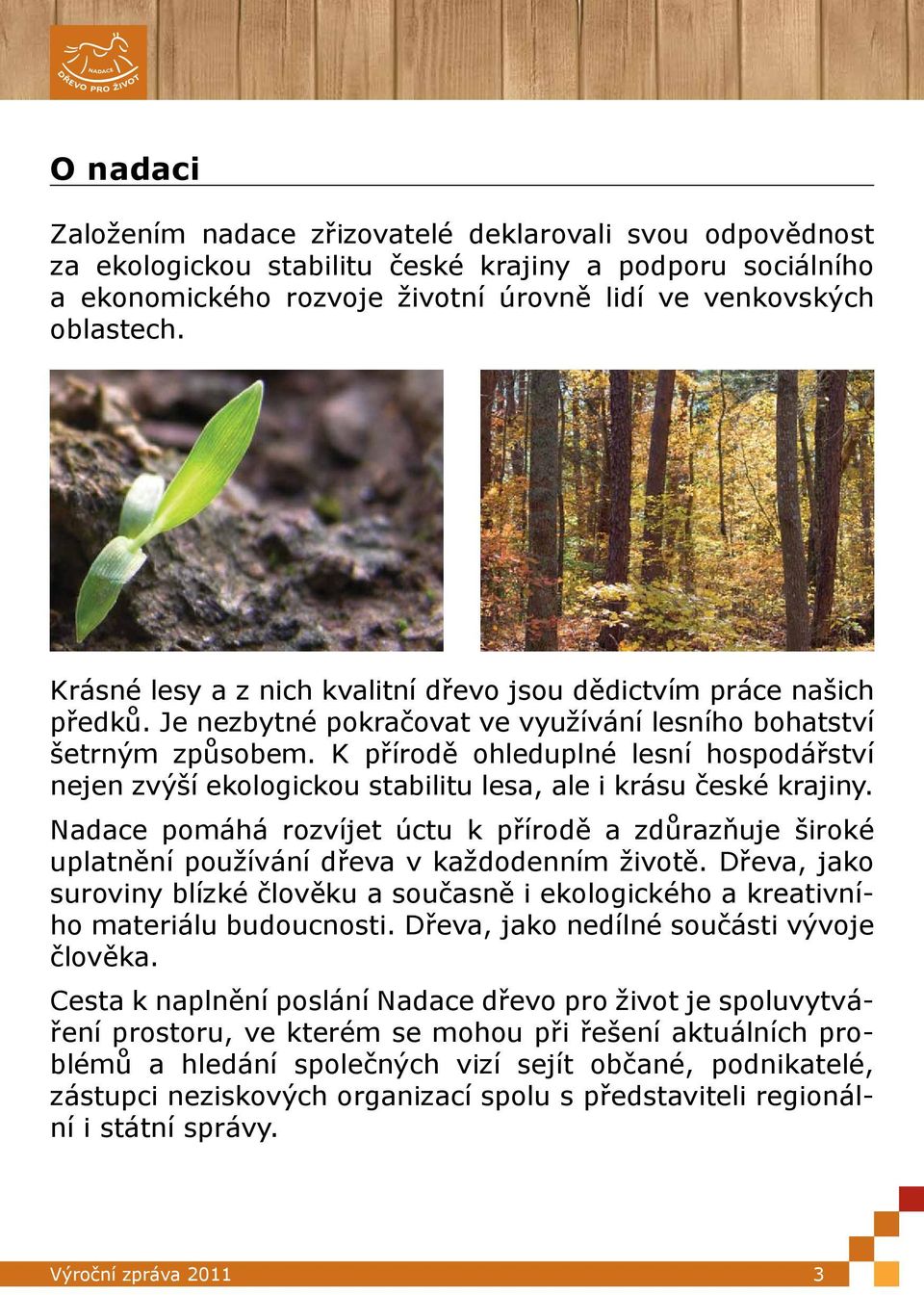 K přírodě ohleduplné lesní hospodářství nejen zvýší ekologickou stabilitu lesa, ale i krásu české krajiny.