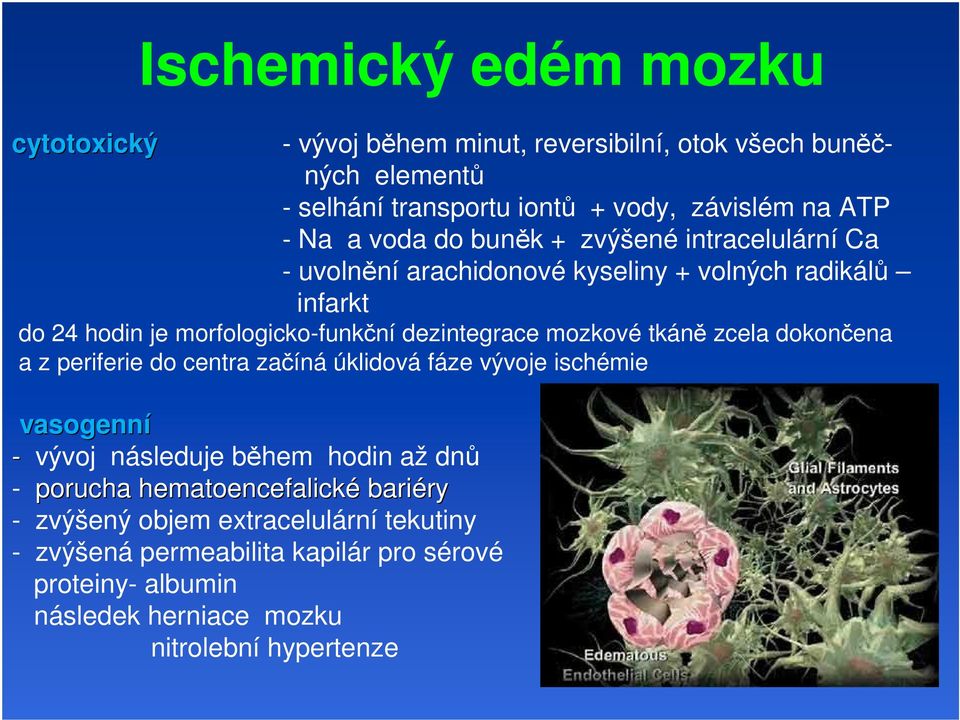 mozkové tkáně zcela dokončena a z periferie do centra začíná úklidová fáze vývoje ischémie vasogenní - vývoj následuje během hodin až dnů - porucha