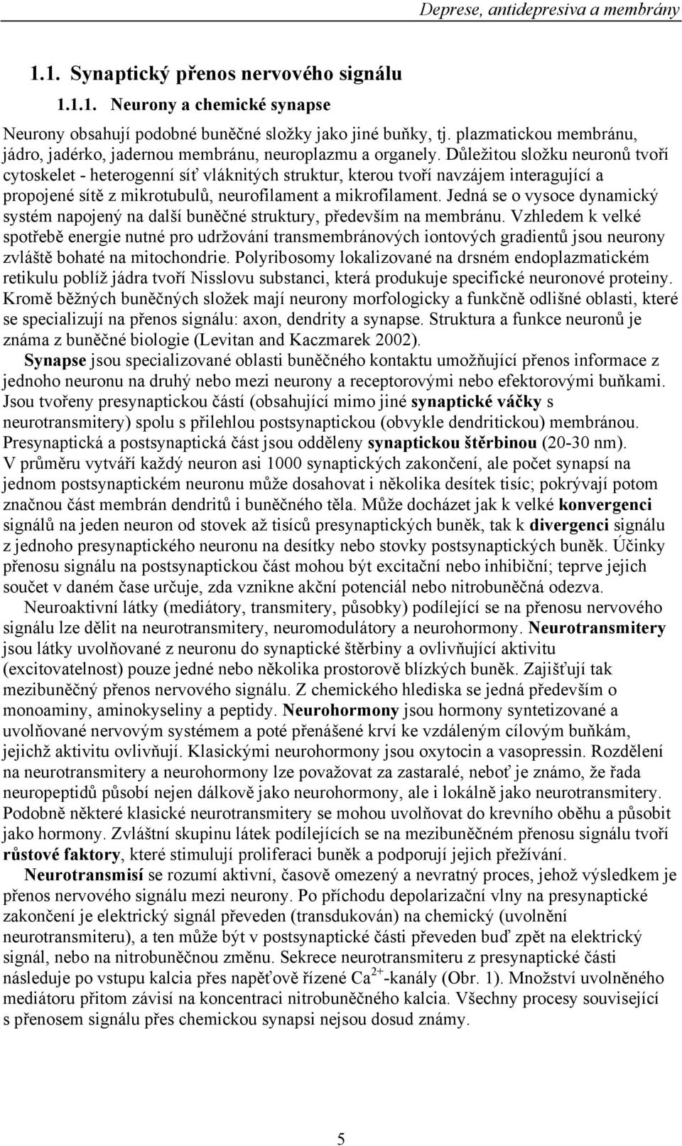 Důležitou složku neuronů tvoří cytoskelet - heterogenní síť vláknitých struktur, kterou tvoří navzájem interagující a propojené sítě z mikrotubulů, neurofilament a mikrofilament.