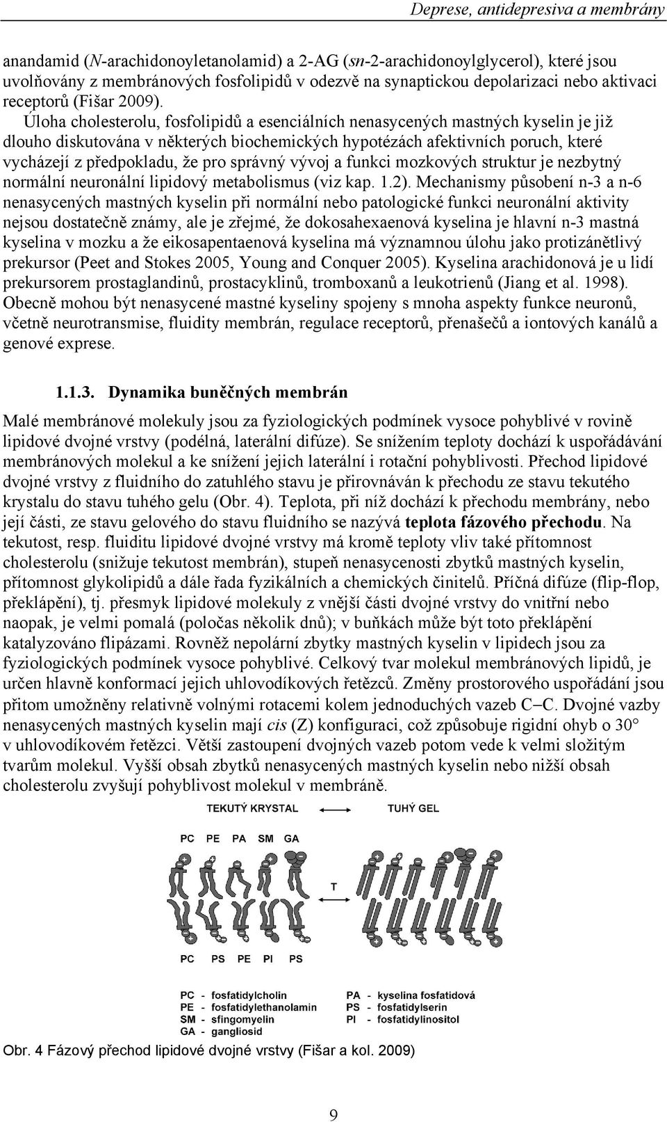 správný vývoj a funkci mozkových struktur je nezbytný normální neuronální lipidový metabolismus (viz kap. 1.2).