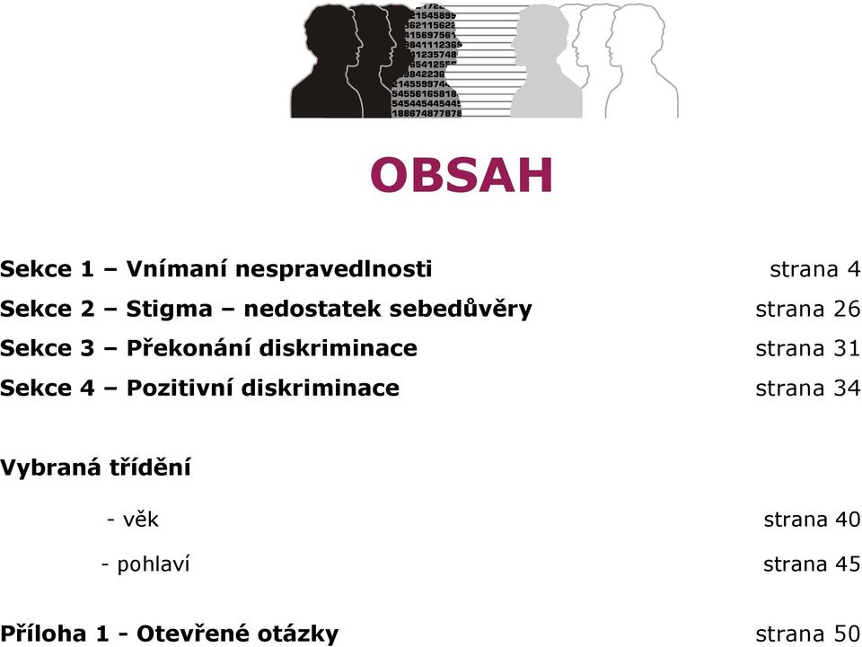 strana 31 Sekce 4 Pozitivní diskriminace strana 34 Vybraná třídění