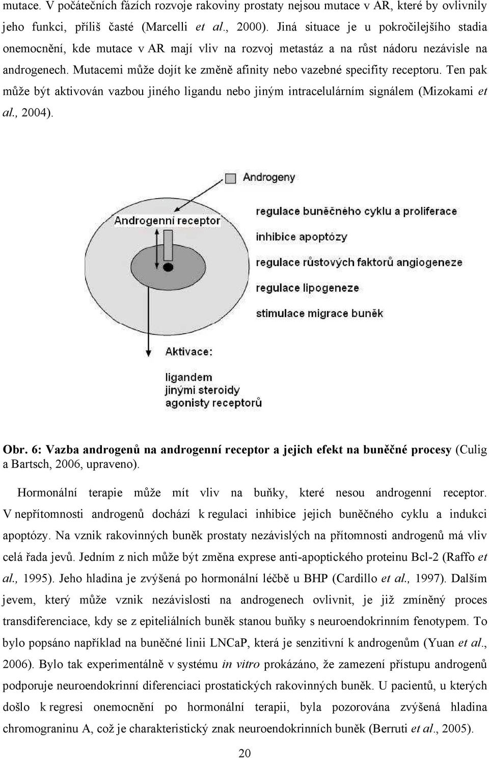 Mutacemi může dojít ke změně afinity nebo vazebné specifity receptoru. Ten pak může být aktivován vazbou jiného ligandu nebo jiným intracelulárním signálem (Mizokami et al., 2004). Obr.