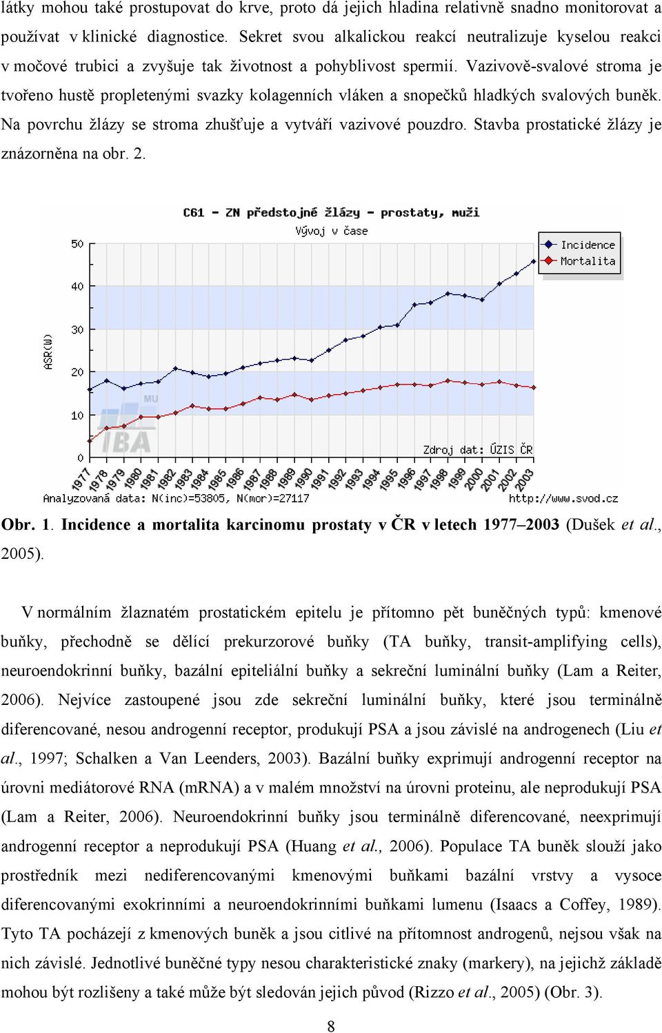 Vazivově-svalové stroma je tvořeno hustě propletenými svazky kolagenních vláken a snopečků hladkých svalových buněk. Na povrchu žlázy se stroma zhušťuje a vytváří vazivové pouzdro.