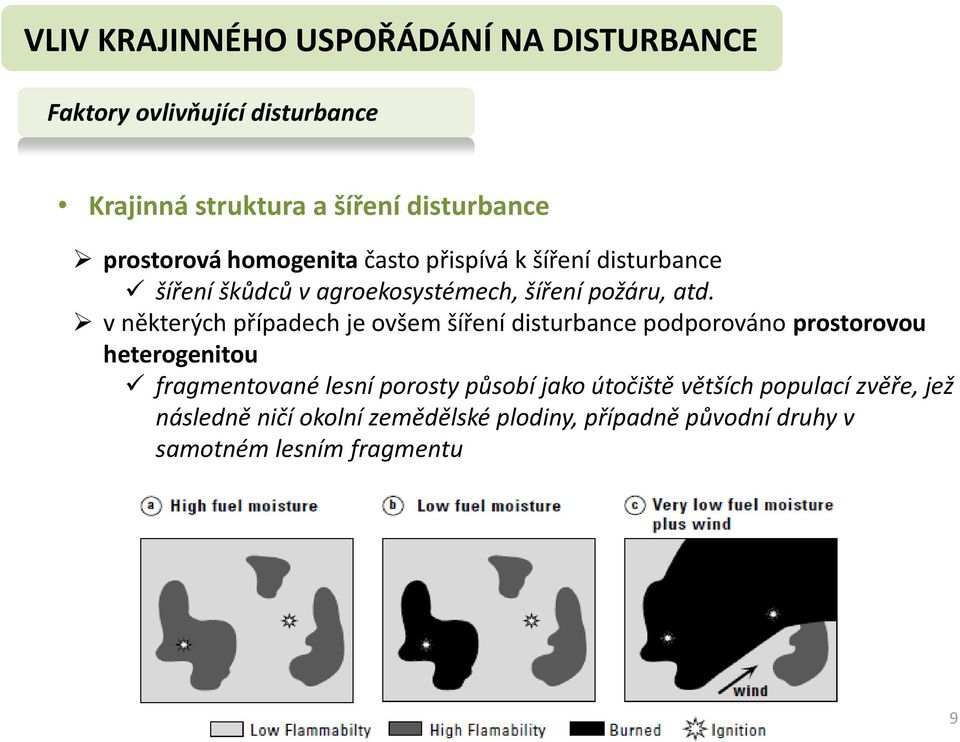 v některých případech je ovšem šíření disturbance podporováno prostorovou heterogenitou fragmentované lesní porosty