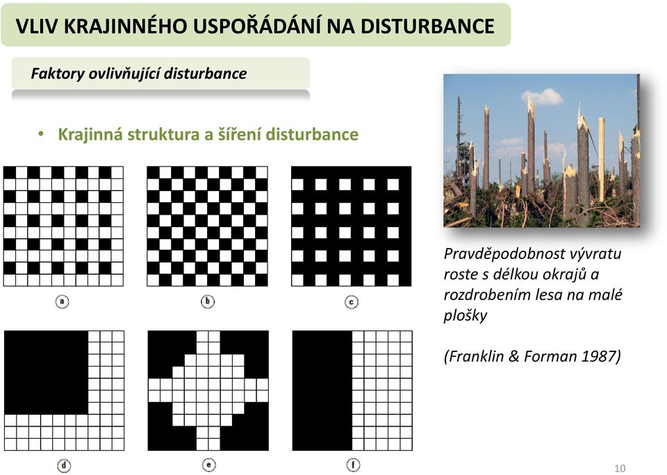 disturbance Pravděpodobnost vývratu roste s délkou