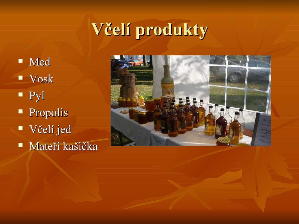 Propolis Včelí