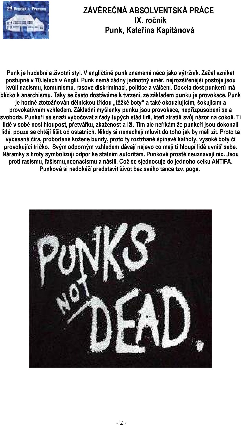 Taky se často dostáváme k tvrzení, že základem punku je provokace. Punk je hodně ztotožňován dělnickou třídou těžké boty a také okouzlujícím, šokujícím a provokativním vzhledem.