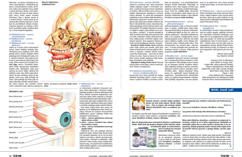 Chism opticum nchází v blízkosti tureckého dl, kostěné dutiny, v níž je uložen hypofýz.