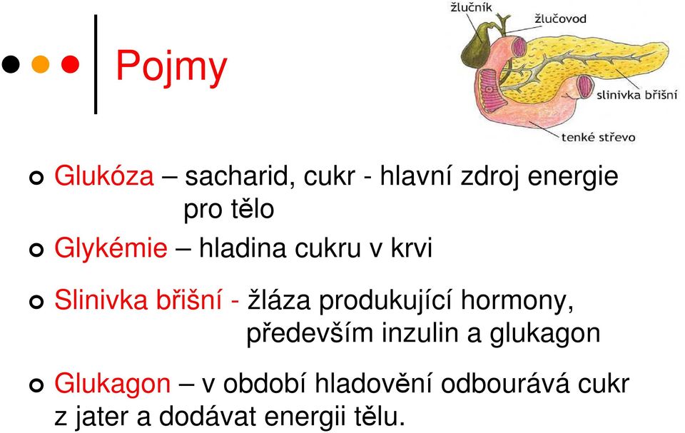 produkující hormony, především inzulin a glukagon Glukagon