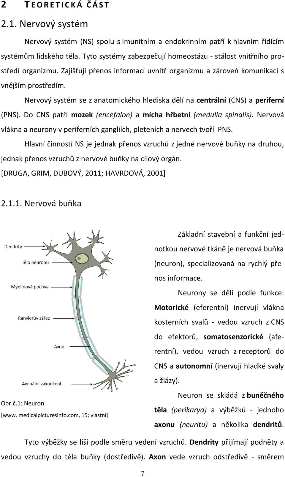 Nervový systém se z anatomického hlediska dělí na centrální (CNS) a periferní (PNS). Do CNS patří mozek (encefalon) a mícha hřbetní (medulla spinalis).