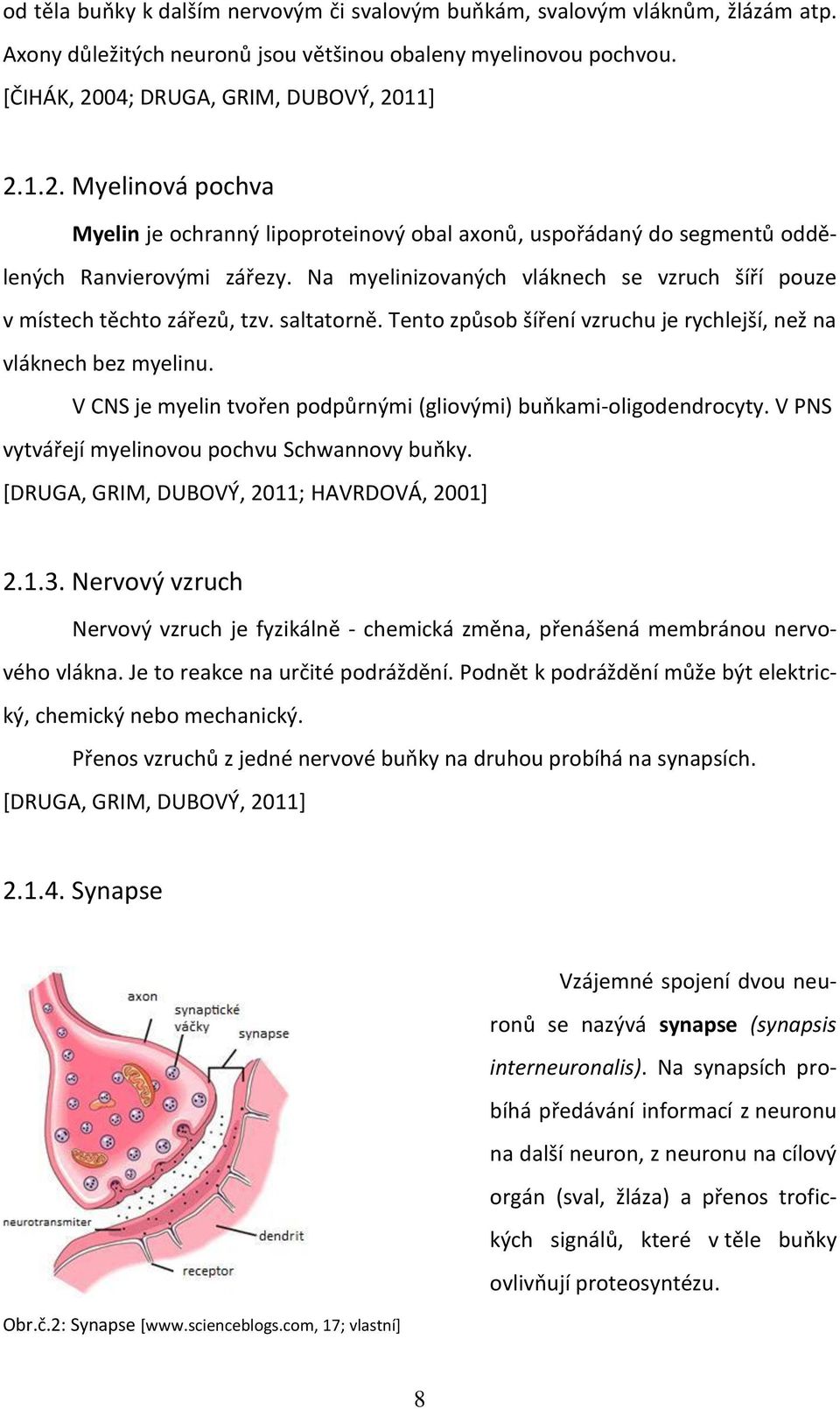 Na myelinizovaných vláknech se vzruch šíří pouze v místech těchto zářezů, tzv. saltatorně. Tento způsob šíření vzruchu je rychlejší, než na vláknech bez myelinu.