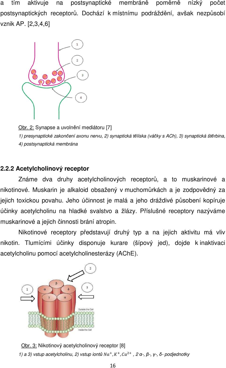 Muskarin je alkaloid obsažený v muchomůrkách a je zodpovědný za jejich toxickou povahu. Jeho účinnost je malá a jeho dráždivé působení kopíruje účinky acetylcholinu na hladké svalstvo a žlázy.