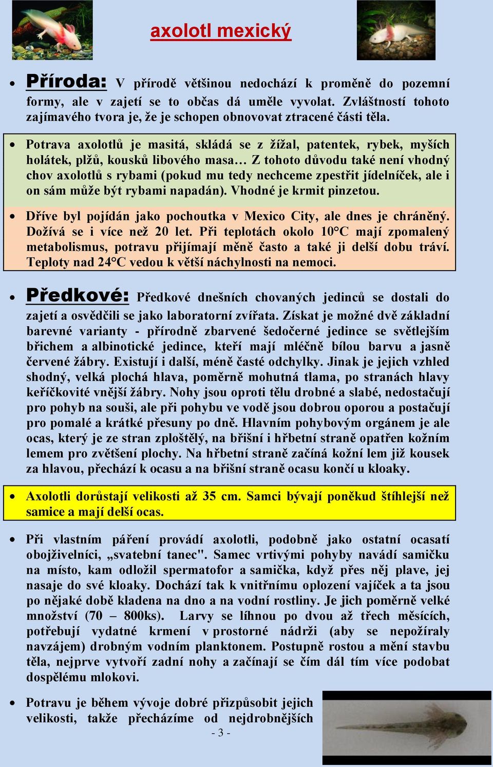 jídelníček, ale i on sám může být rybami napadán). Vhodné je krmit pinzetou. Dříve byl pojídán jako pochoutka v Mexico City, ale dnes je chráněný. Dožívá se i více než 20 let.