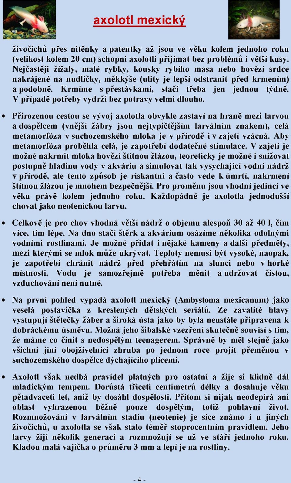 Krmíme s přestávkami, stačí třeba jen jednou týdně. V případě potřeby vydrží bez potravy velmi dlouho.