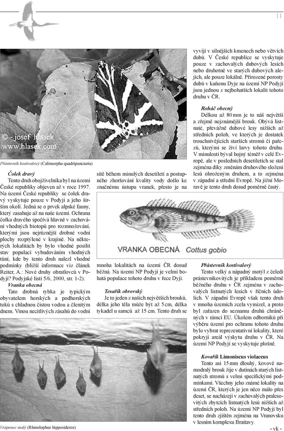 Přástevník kostivalový (Calimorpha quadripunctaria) Čolek dravý Tento druh obojživelníka byl na území České republiky objeven až v roce 1997.