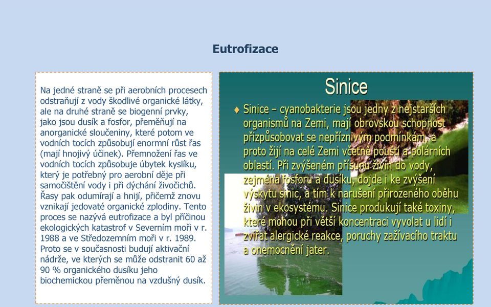 Přemnožení řas ve vodních tocích způsobuje úbytek kyslíku, který je potřebný pro aerobní děje při samočištění vody i při dýchání živočichů.