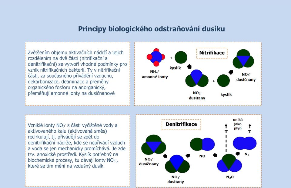 Ty v nitrifikační části, za současného přivádění vzduchu, dekarbonizace, deaminace a přeměny organického fosforu na anorganický, přeměňují amonné ionty na dusičnanové Nitrifikace