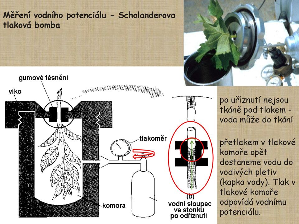 přetlakem v tlakové komoře opět dostaneme vodu do vodivých