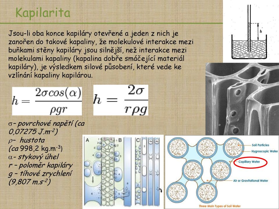 smáčející materiál kapiláry), je výsledkem silové působení, které vede ke vzlínání kapaliny kapilárou.