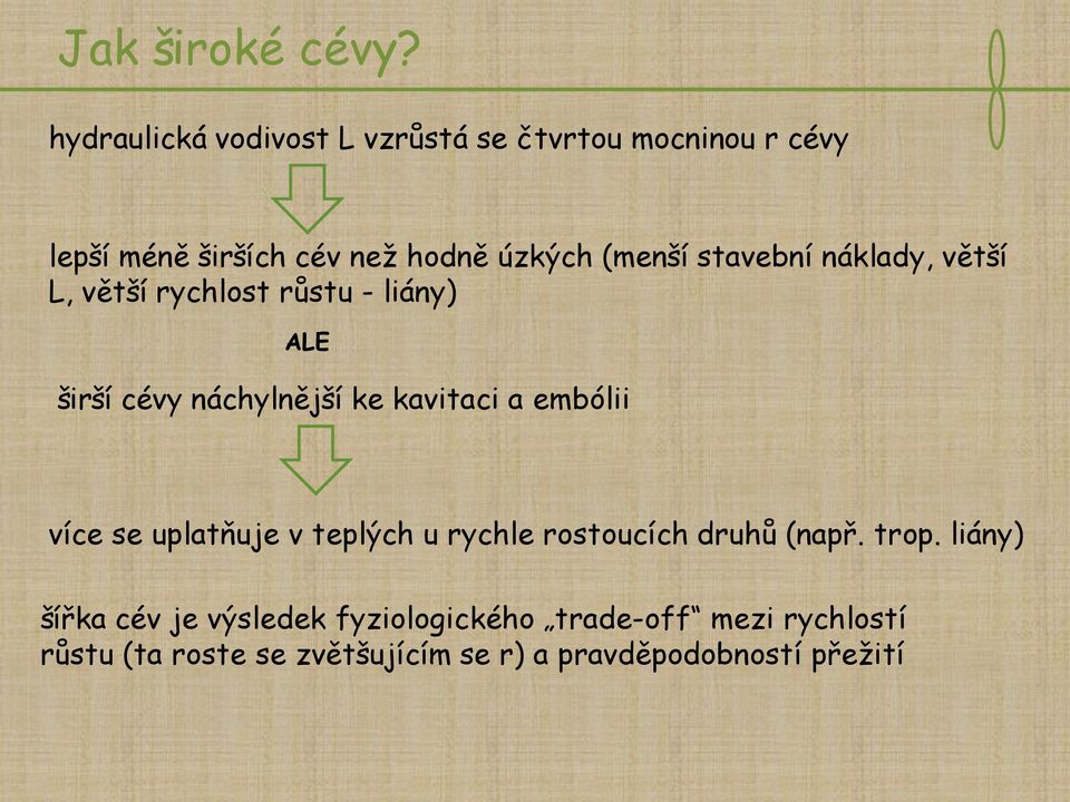 stavební náklady, větší L, větší rychlost růstu - liány) ALE širší cévy náchylnější ke kavitaci a embólii