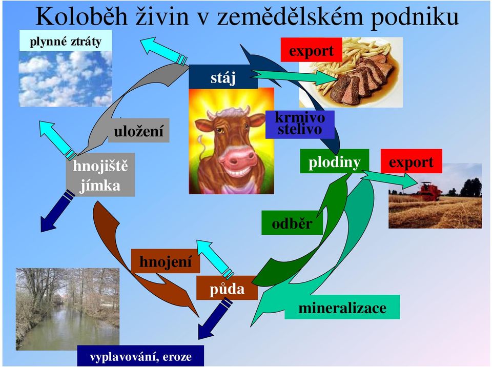 uložení krmivo stelivo odb r plodiny