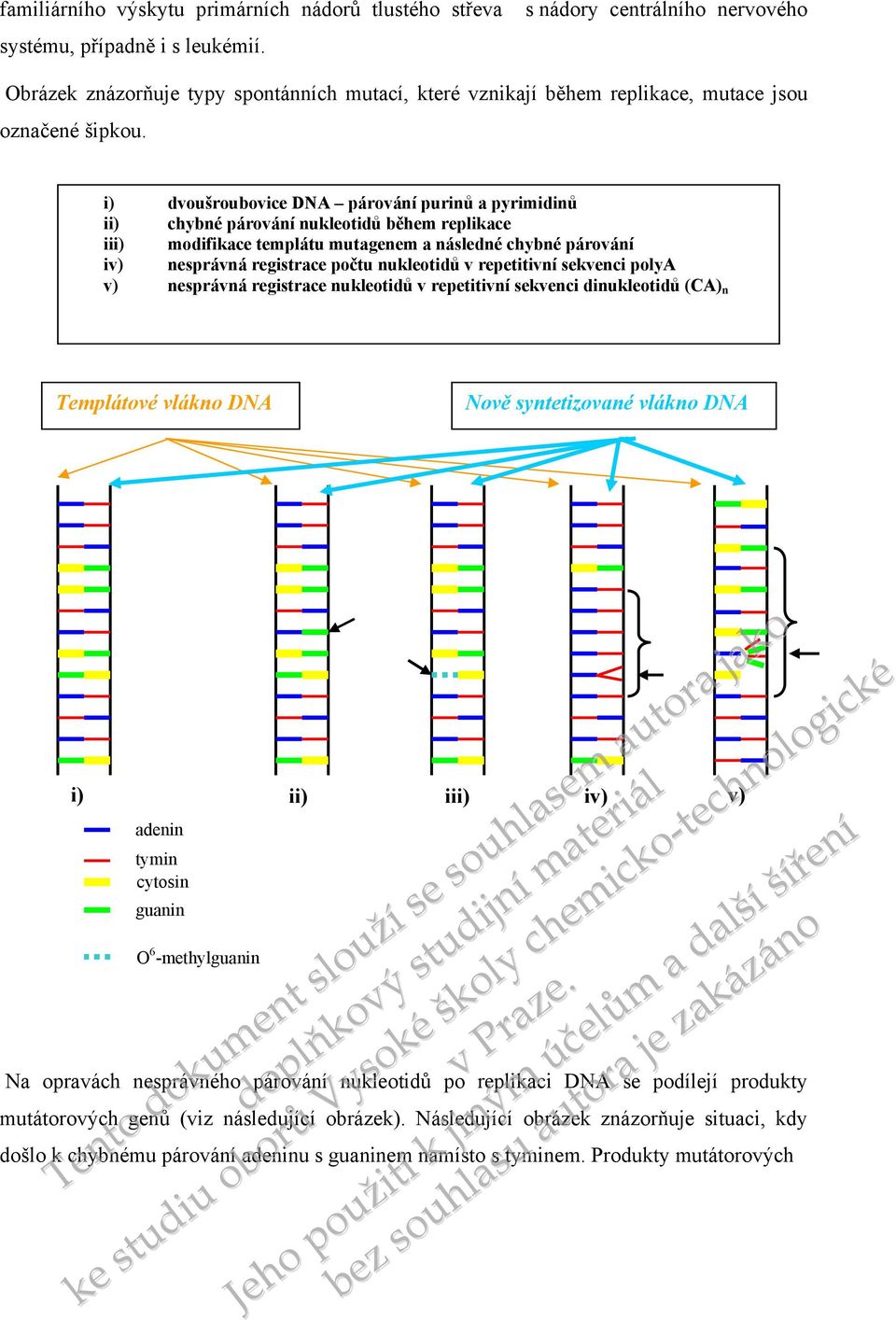 i) dvoušroubovice DNA párování purinů a pyrimidinů ii) chybné párování nukleotidů během replikace iii) modifikace templátu mutagenem a následné chybné párování iv) nesprávná registrace počtu