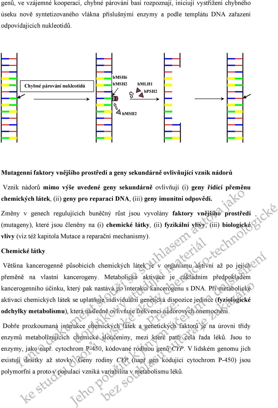 geny řídící přeměnu chemických látek, (ii) geny pro reparaci DNA, (iii) geny imunitní odpovědi.