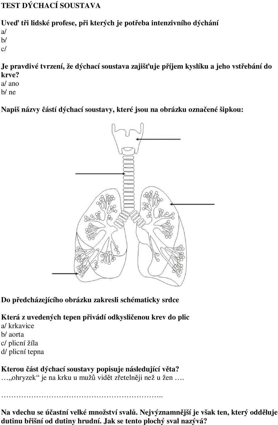 a/ ano b/ ne Napiš názvy ástí dýchací soustavy, které jsou na obrázku oznaené šipkou: Do pedcházejícího obrázku zakresli schématicky srdce Která z uvedených tepen pivádí