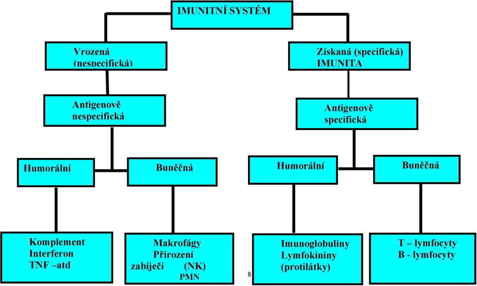 Humorální Buněčná Komplement Interferon TNF atd Makrofágy Přirození